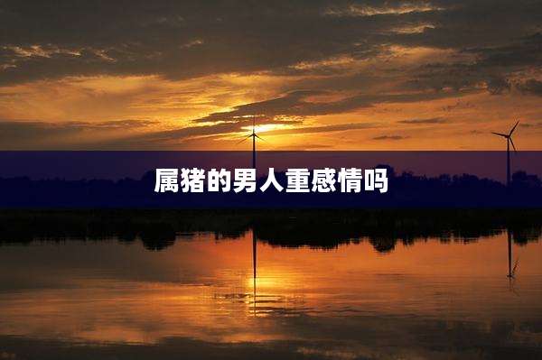 属猪的男人重感情吗
