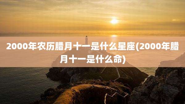 2000年农历腊月十一是什么星座(2000年腊月十一是什么命)