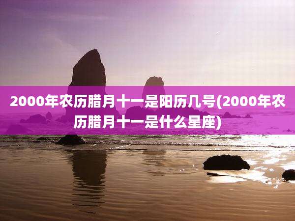 2000年农历腊月十一是阳历几号(2000年农历腊月十一是什么星座)