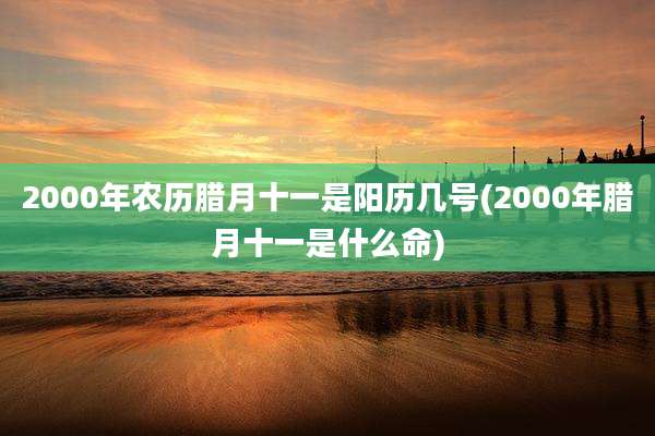 2000年农历腊月十一是阳历几号(2000年腊月十一是什么命)