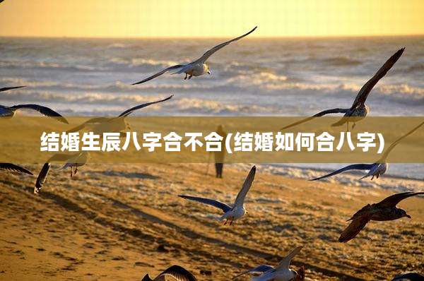 结婚生辰八字合不合(结婚如何合八字)