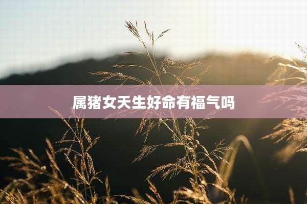属猪女天生好命有福气吗
