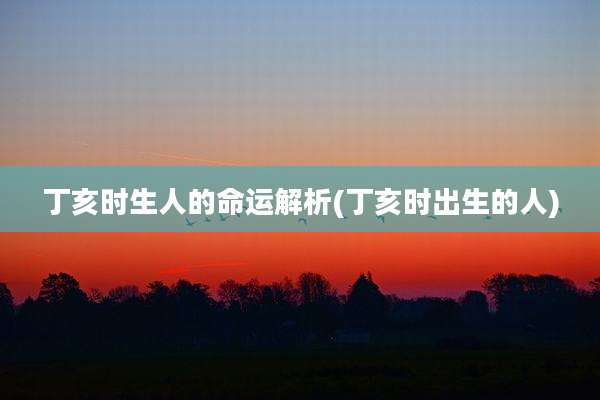 丁亥时生人的命运解析(丁亥时出生的人)