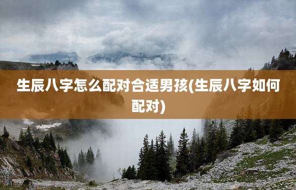 生辰八字怎么配对合适男孩(生辰八字如何配对)