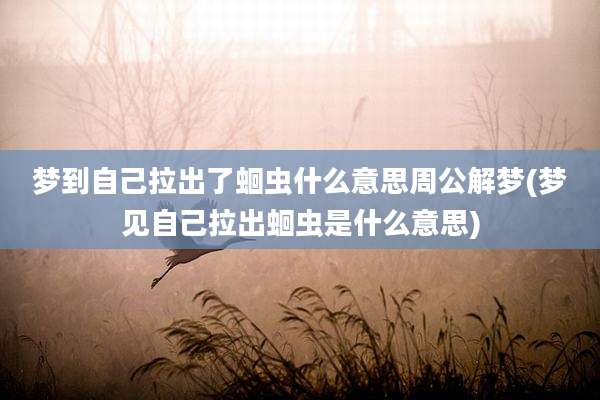 梦到自己拉出了蛔虫什么意思周公解梦(梦见自己拉出蛔虫是什么意思)