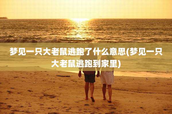 梦见一只大老鼠逃跑了什么意思(梦见一只大老鼠逃跑到家里)