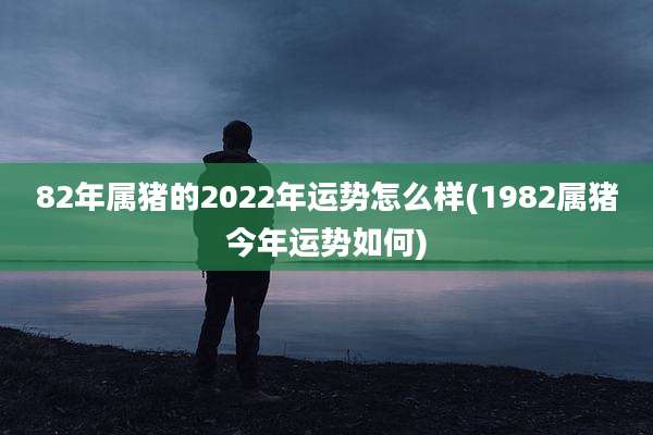 82年属猪的2022年运势怎么样(1982属猪今年运势如何)
