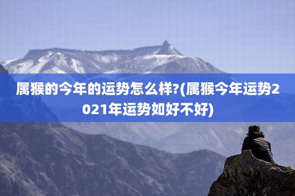 属猴的今年的运势怎么样?(属猴今年运势2021年运势如好不好)