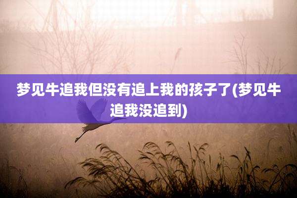 梦见牛追我但没有追上我的孩子了(梦见牛追我没追到)