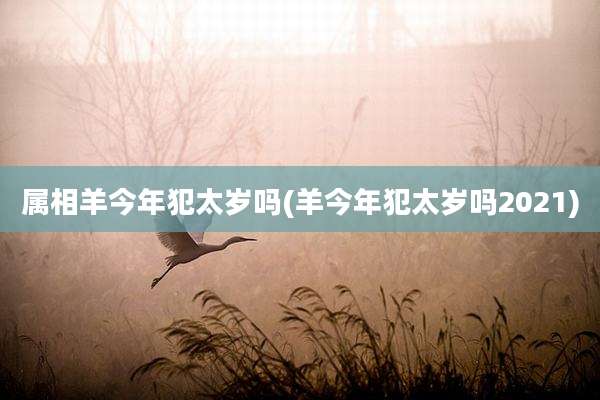 属相羊今年犯太岁吗(羊今年犯太岁吗2021)
