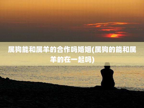 属狗能和属羊的合作吗婚姻(属狗的能和属羊的在一起吗)