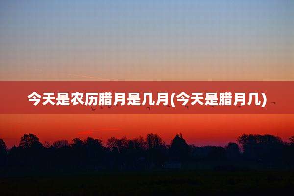 今天是农历腊月是几月(今天是腊月几)
