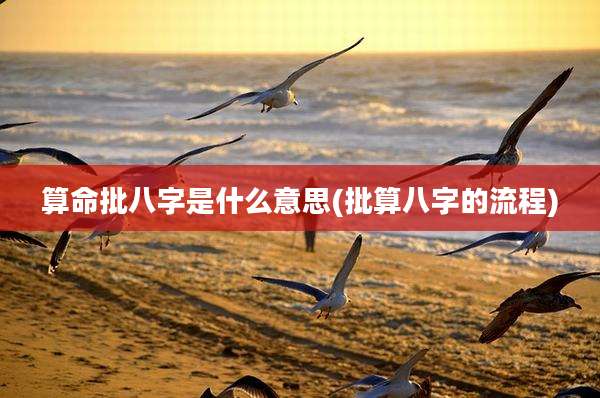 算命批八字是什么意思(批算八字的流程)