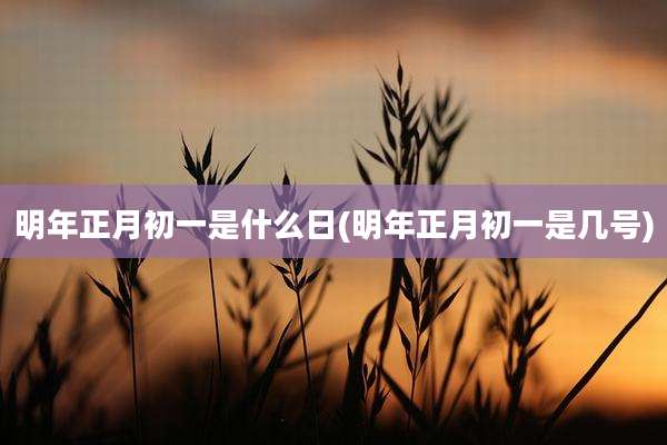 明年正月初一是什么日(明年正月初一是几号)