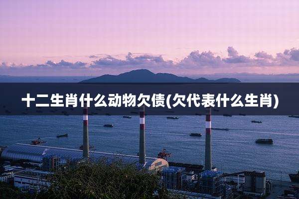 十二生肖什么动物欠债(欠代表什么生肖)