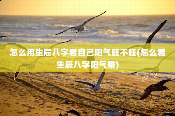 怎么用生辰八字看自己阳气旺不旺(怎么看生辰八字阳气重)