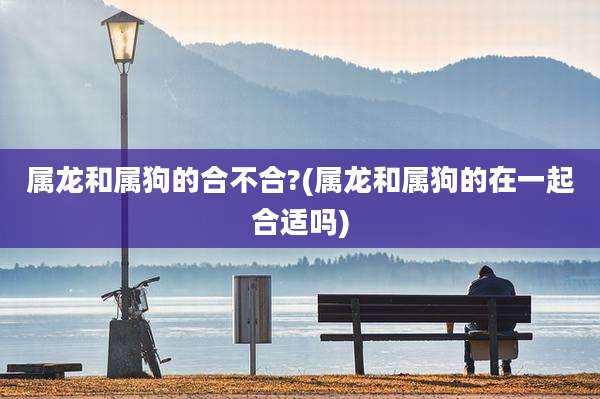 属龙和属狗的合不合?(属龙和属狗的在一起合适吗)