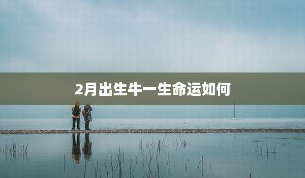 2月出生牛一生命运如何