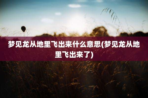 梦见龙从地里飞出来什么意思(梦见龙从地里飞出来了)