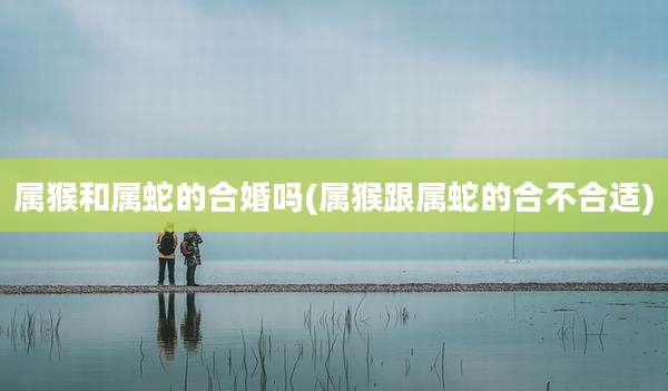 属猴和属蛇的合婚吗(属猴跟属蛇的合不合适)