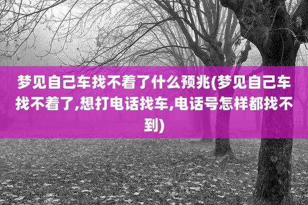 梦见自己车找不着了什么预兆(梦见自己车找不着了,想打电话找车,电话号怎样都找不到)