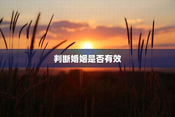 判断婚姻是否有效