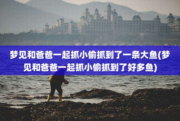 梦见和爸爸一起抓小偷抓到了一条大鱼(梦见和爸爸一起抓小偷抓到了好多鱼)