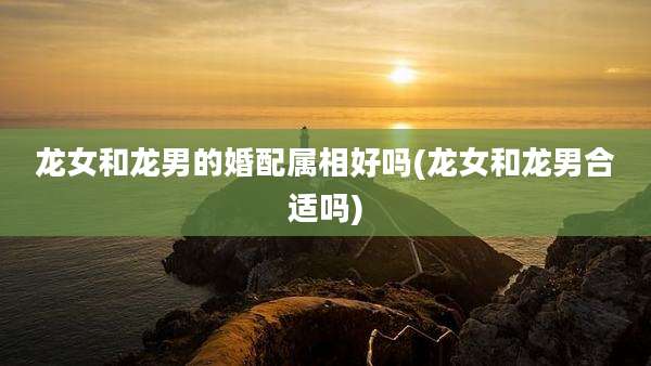 龙女和龙男的婚配属相好吗(龙女和龙男合适吗)