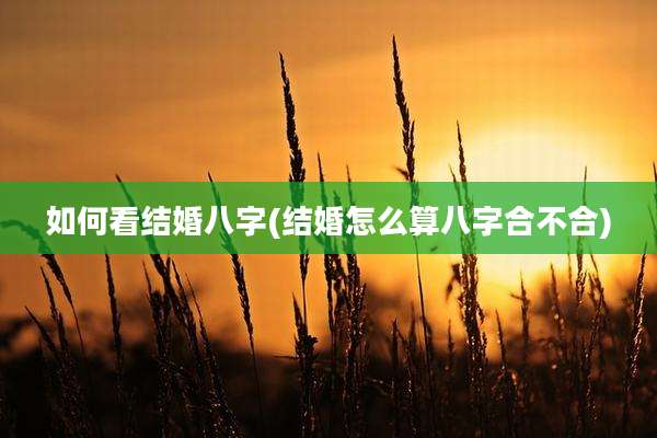 如何看结婚八字(结婚怎么算八字合不合)
