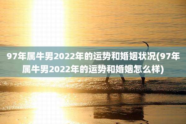 97年属牛男2022年的运势和婚姻状况(97年属牛男2022年的运势和婚姻怎么样)
