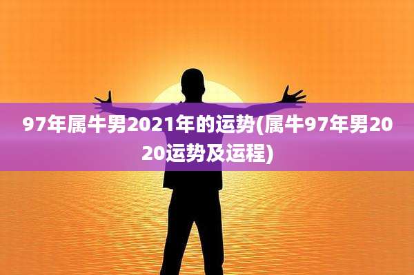 97年属牛男2021年的运势(属牛97年男2020运势及运程)