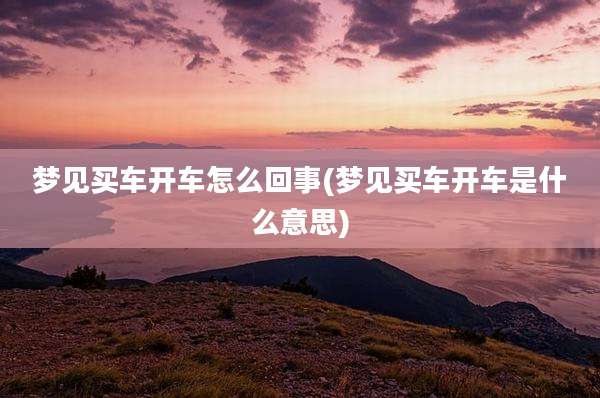 梦见买车开车怎么回事(梦见买车开车是什么意思)
