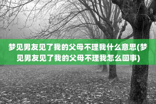 梦见男友见了我的父母不理我什么意思(梦见男友见了我的父母不理我怎么回事)