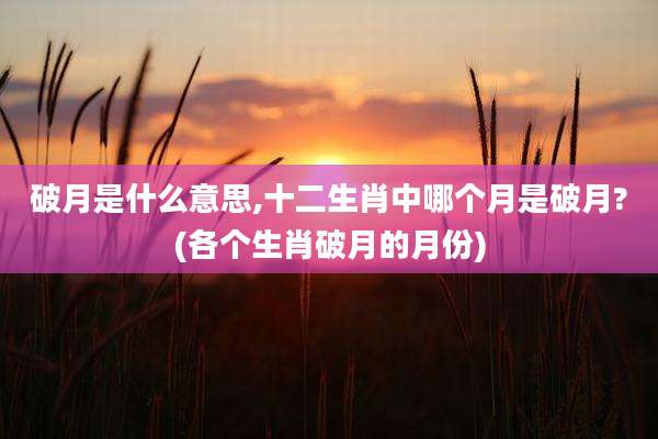 破月是什么意思,十二生肖中哪个月是破月?(各个生肖破月的月份)