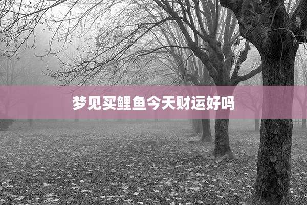 梦见买鲤鱼今天财运好吗