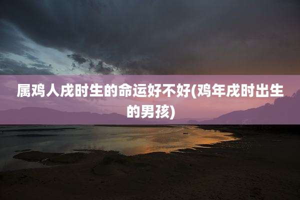 属鸡人戌时生的命运好不好(鸡年戌时出生的男孩)