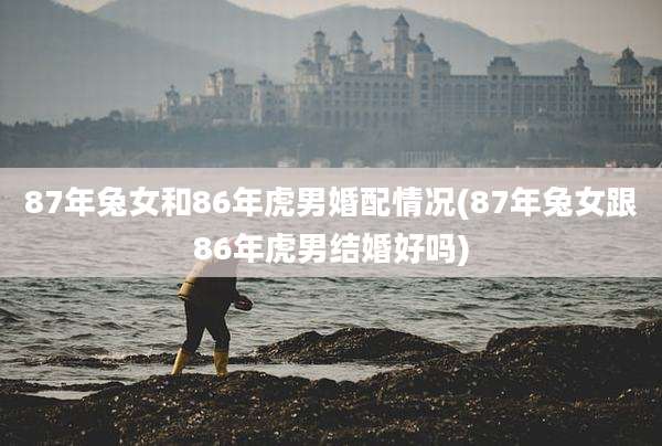 87年兔女和86年虎男婚配情况(87年兔女跟86年虎男结婚好吗)