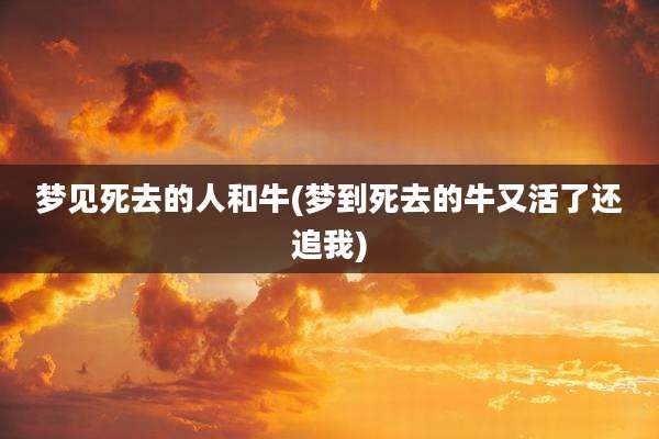 梦见死去的人和牛(梦到死去的牛又活了还追我)