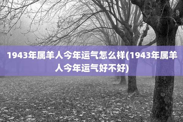1943年属羊人今年运气怎么样(1943年属羊人今年运气好不好)