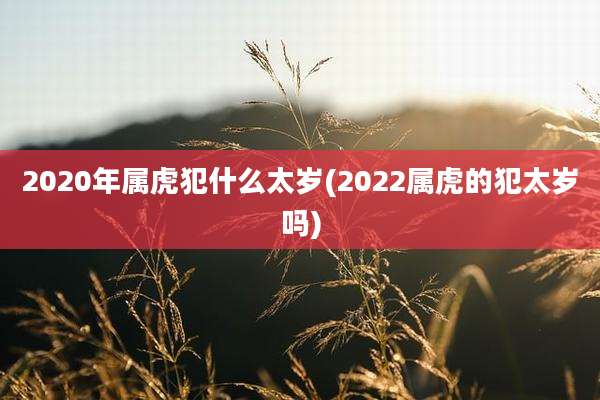 2020年属虎犯什么太岁(2022属虎的犯太岁吗)