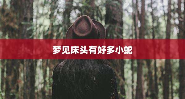 梦见床头有好多小蛇