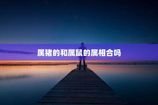 属猪的和属鼠的属相合吗