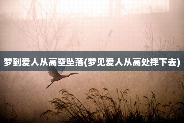梦到爱人从高空坠落(梦见爱人从高处摔下去)
