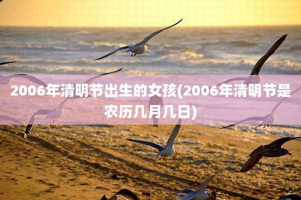 2006年清明节出生的女孩(2006年清明节是农历几月几日)