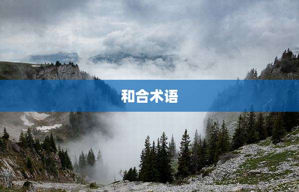 和合术语