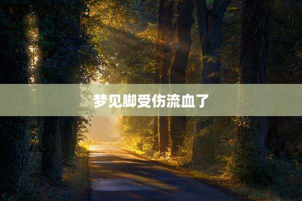 梦见脚受伤流血了