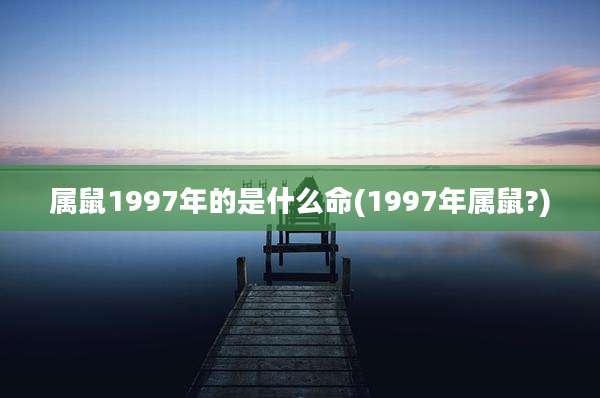 属鼠1997年的是什么命(1997年属鼠?)