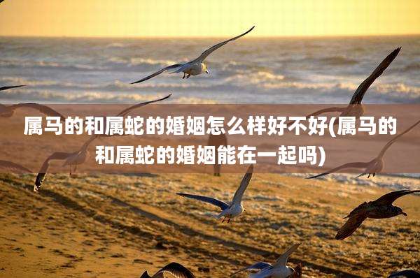 属马的和属蛇的婚姻怎么样好不好(属马的和属蛇的婚姻能在一起吗)