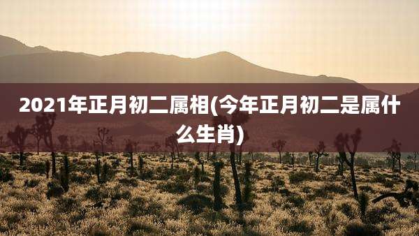 2021年正月初二属相(今年正月初二是属什么生肖)