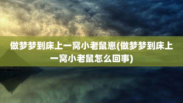 做梦梦到床上一窝小老鼠崽(做梦梦到床上一窝小老鼠怎么回事)